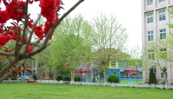 校地协同创新与全产业链合作开展深度对